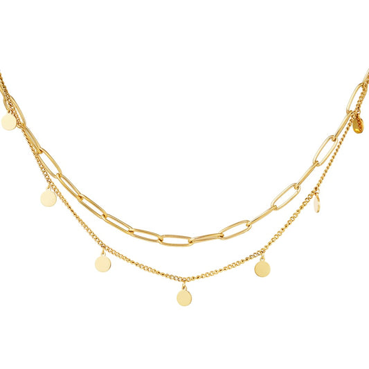 Stainless steel layered necklace met fijne en grove schakels